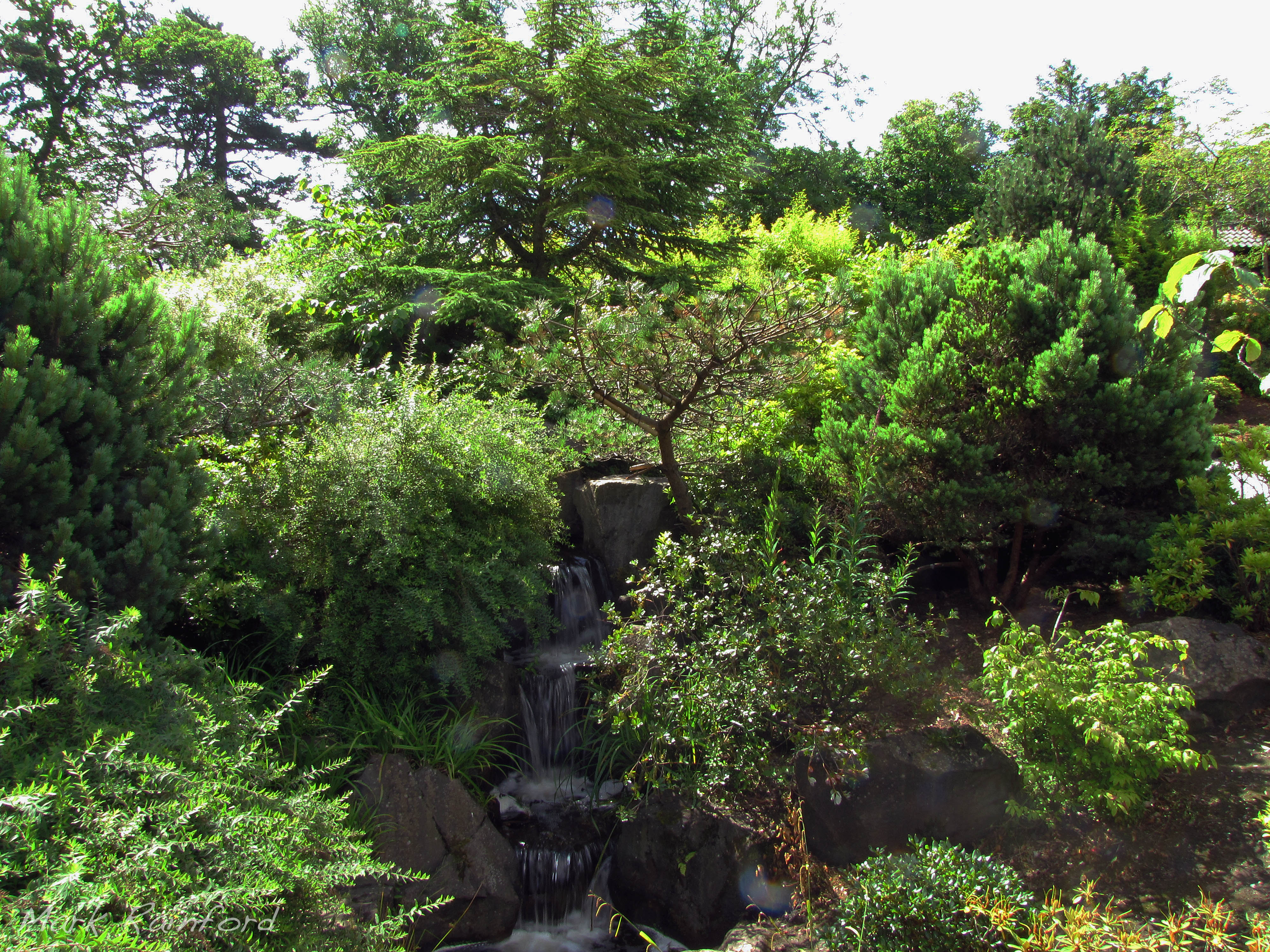 Edinburgh-Kyoto Friendship Garden