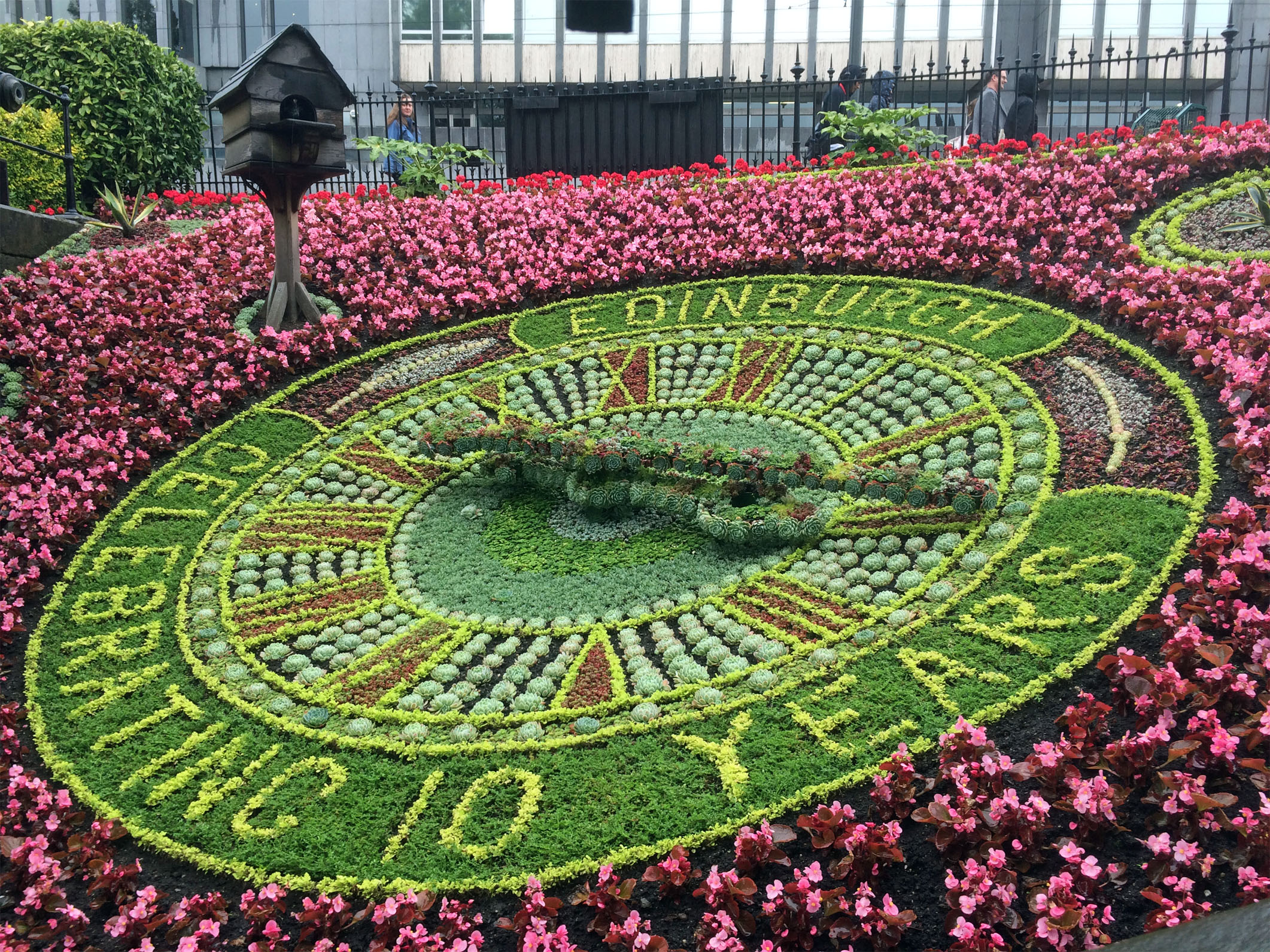 Edinburgh flower clock 2015