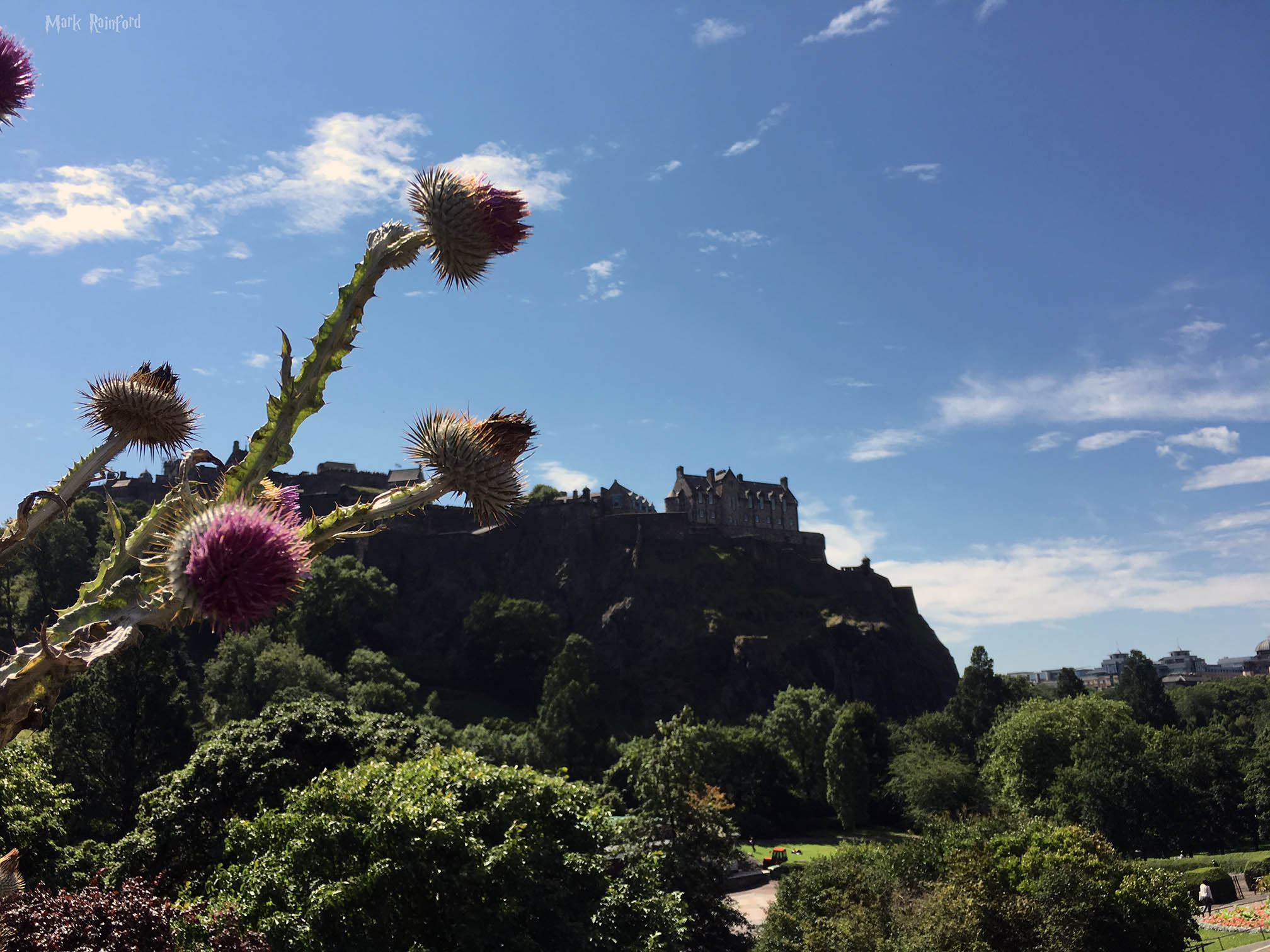 Edinburgh Castle With Thistle
